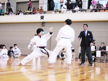 This picture is for quick loading of picture.